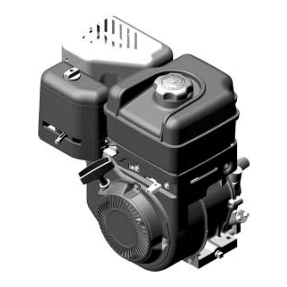 Briggs & Stratton 120000 Instructions D'utilisation Et De Maintenance