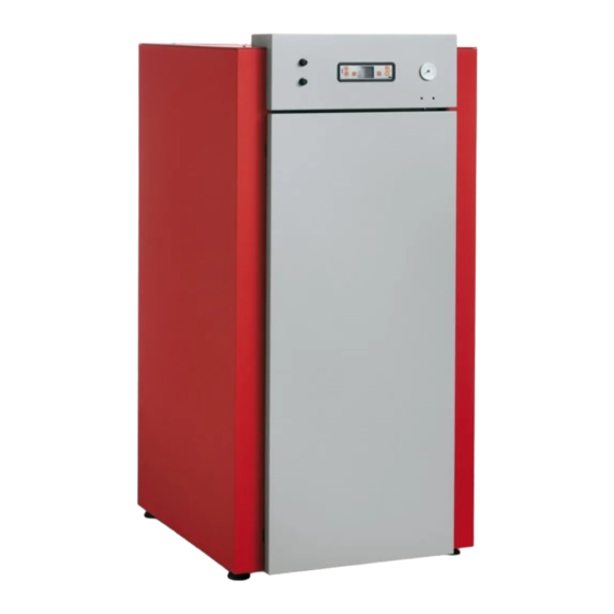 Palazzetti CT PRO 24T Notice D'installation
