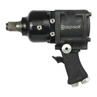 Paoli Avvitatori DP 251 Manuel D'utilisation Et D'entretien