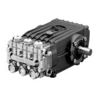 Interpump Group WS252 Mode D'emploi