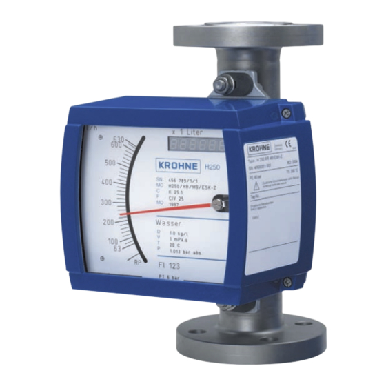 KROHNE H 250/M9 Notice De Montage Et D'utilisation