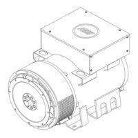 MarelliGenerators MJB 250 Instructions