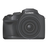 Panasonic LUMIX DC-FZ80D Manuel D'utilisation