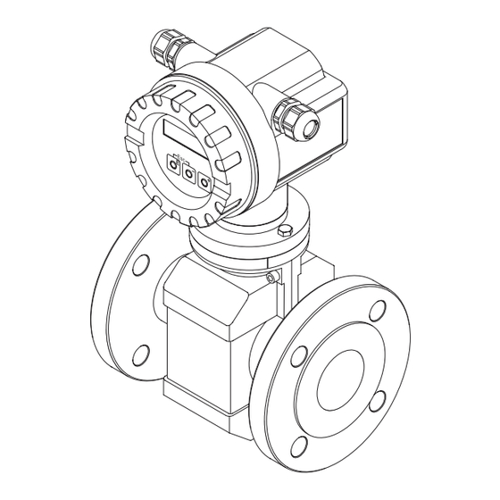 Endress+Hauser PROline Promag 10 Manuel De Mise En Service