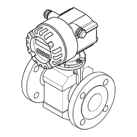 Endress+Hauser Proline Promag 10 Instructions Condensées