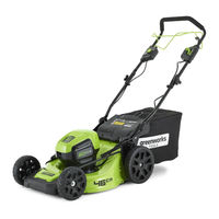 Greenworks Tools 2502907 Manuel D'utilisation