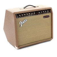 Fender Acoustasonic 30 Mode D'emploi