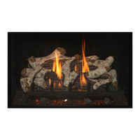Kozy Heat Fireplaces BELLINGHAM 38 Manuel D'installation Et D'utilisation