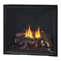 Regency Fireplace Products Grandview G800EC Manuel D'installation & D'utilisation