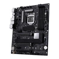 Asus Pro WS W480-ACE Manuel