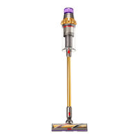 Dyson Outsize Absolute Guide D'utilisation