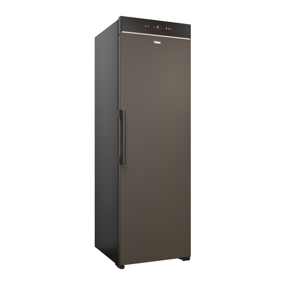 Haier HWS247FDU1 Manuel D'utilisation