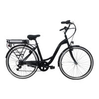 Wayscral EVERYWAY E-100 Notice D'utilisation