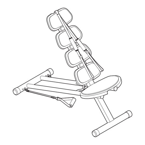 ICON PRO-FORM abs Manuel De L'utilisateur