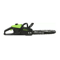 GreenWorks Pro 2015502CT Manuel De L'utilisateur