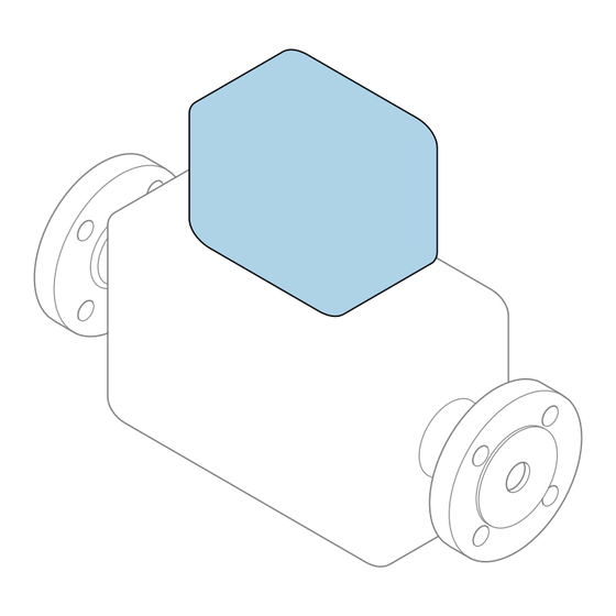 Endress+Hauser Proline 200 HART Instructions Condensées