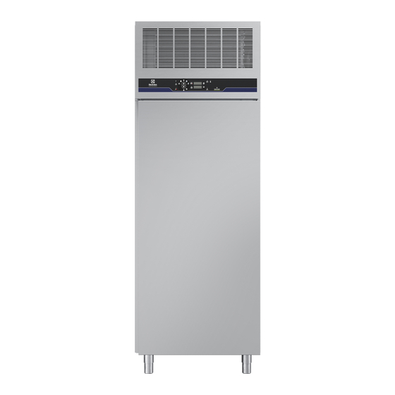Electrolux Professional Crosswise 20 GN1/1 Mode D'emploi