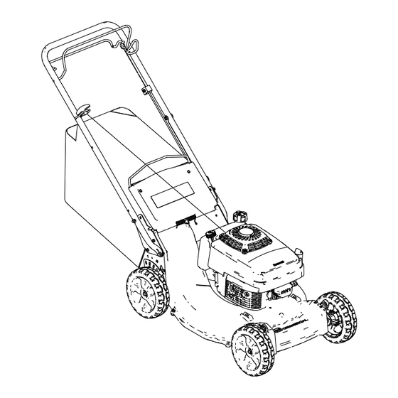 Toro Recycler 53cm Manuel De L'utilisateur