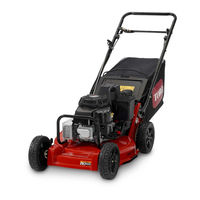 Toro 22291 Manuel