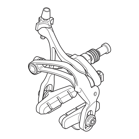 CAMPAGNOLO RECORD Mode D'emploi