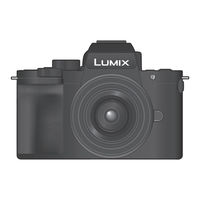 Panasonic Lumix DC-G100D Manuel D'utilisation