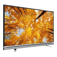 Grundig 55VLE6621BP Manuel D'instruction