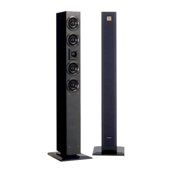 Panasonic SB-PF500 Manuel D'utilisation