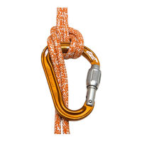 Petzl RAD LINE Manuel