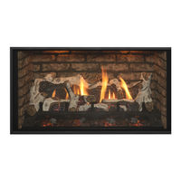 Kozy Heat Fireplaces BELLINGHAM 44 Manuel D'installation Et D'utilisation