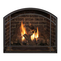 Kozy Heat Fireplaces ALPHA-36S Manuel D'installation Et D'utilisation