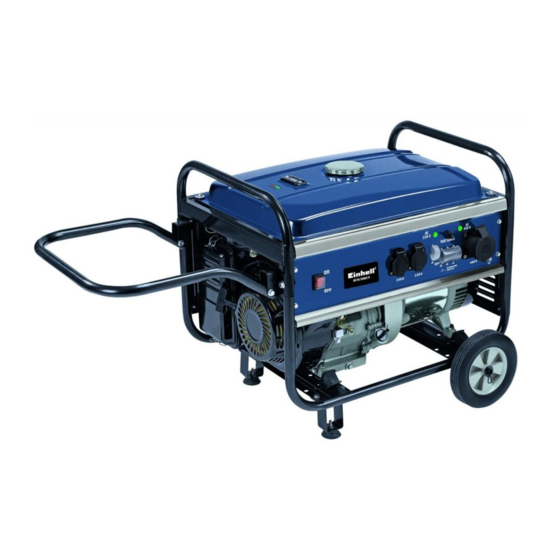 EINHELL BT-PG 5500/2 D Mode D'emploi D'origine