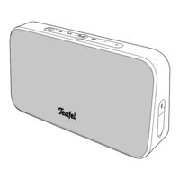 Teufel MOTIV GO Mode D'emploi