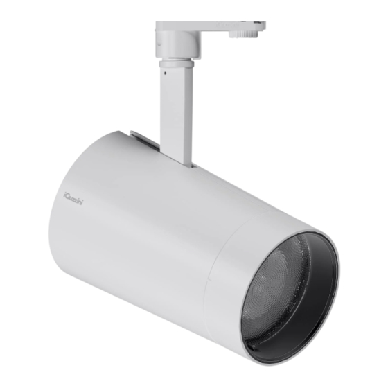 iGuzzini SPOT PALCO SMALL Manuel D'installation