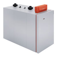 Viessmann Vitocrossal 200 CM2 326 Manuel D'entretien