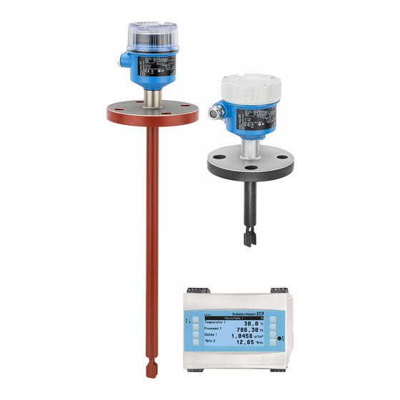 Endress+Hauser FML621 Information Technique