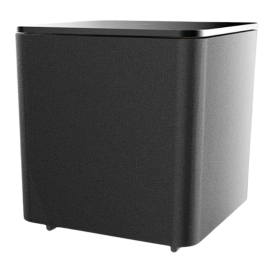 Loewe Subwoofer 300 Mode D'emploi