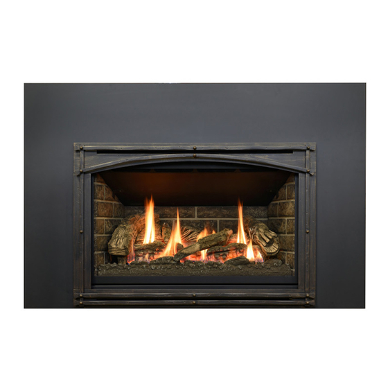 Kozy Heat Fireplaces CHASKA-335S Manuels