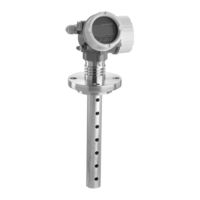 Endress+Hauser Levelflex FMP55 Information Technique