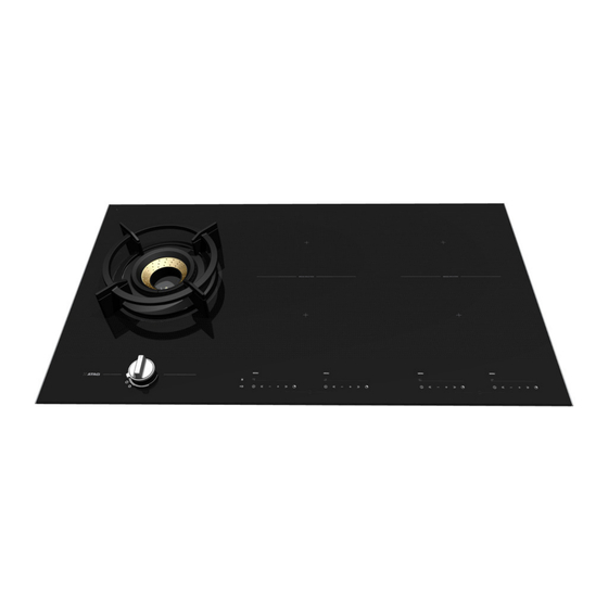 Atag IG9571MB Mode D'emploi