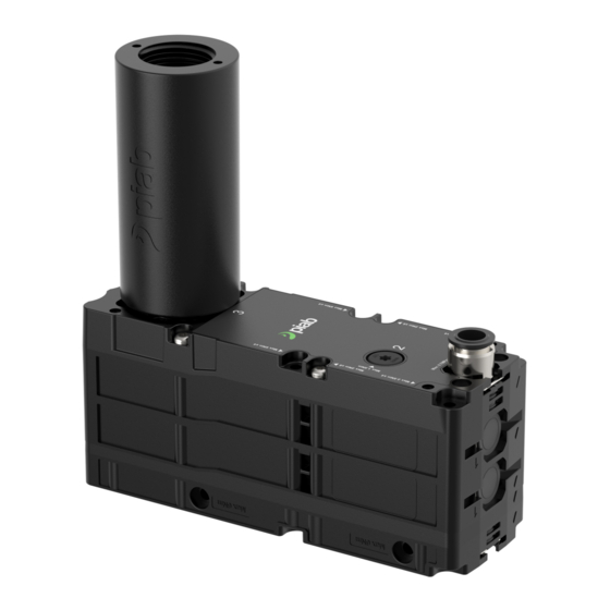 piab piCLASSIC Neo Inline Manuel