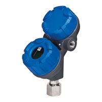 Magnetrol ECLIPSE 705 Mode D'emploi