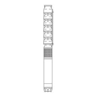 caprari E6P35/14M MAC625A-8V Mode D'emploi