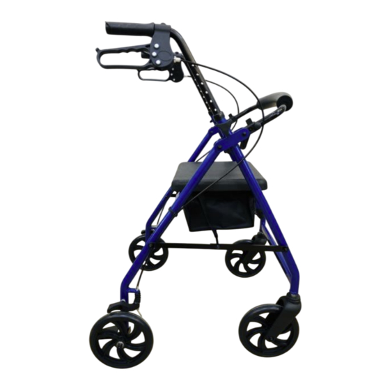 Invacare Dolomite Brass Manuel D'utilisation