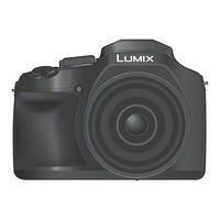 Panasonic LUMIX DC-FZ80DK Manuel D'utilisation