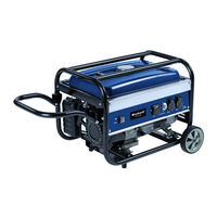 Einhell BT-PG 2800/1 Mode D'emploi D'origine