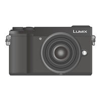 Panasonic Lumix DC-GX9N Manuel D'utilisation