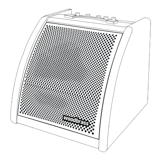 woodbrass D30BT Notice D'utilisation