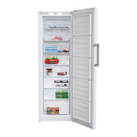 Beko RFNE312E33WN Manuel D'utilisation
