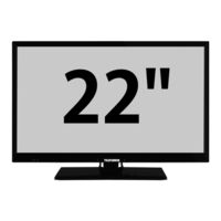 Telefunken TFK 22 DS 19 B Mode D'emploi