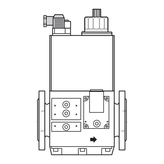 Dungs DMV-D 5040/11 Notice D'emploi Et De Montage